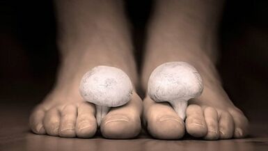 How to recognize the presence of leg fungi