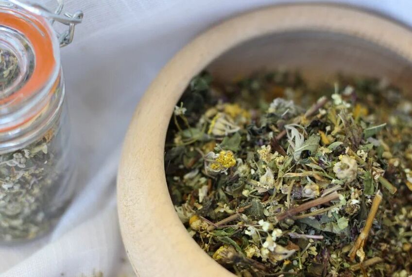 medicinal herbs for fungal treatment